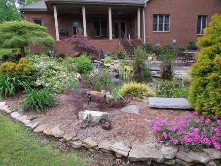 photo Pond1_zps8d008cef.jpg